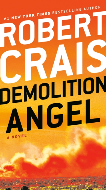 Demolition Angel, EPUB eBook