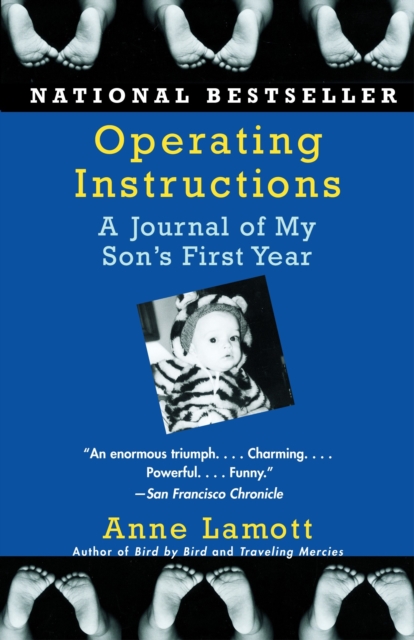 Operating Instructions, EPUB eBook