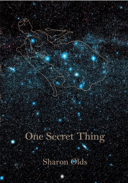 One Secret Thing, EPUB eBook