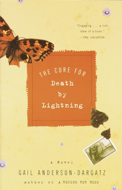 Cure for Death by Lightning, EPUB eBook