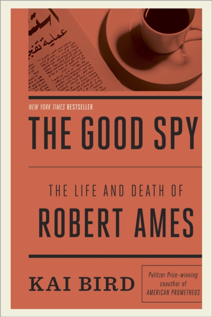 Good Spy, EPUB eBook