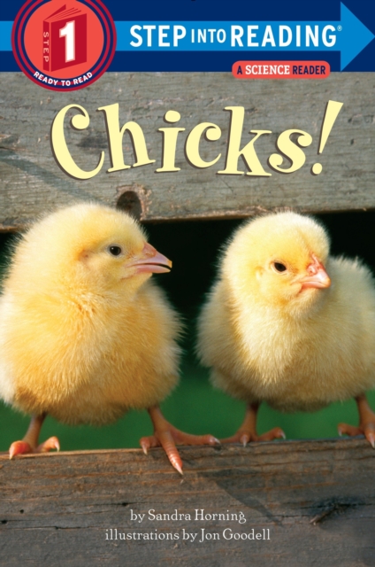 Chicks!, Paperback / softback Book