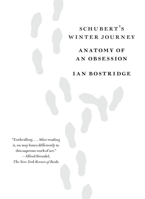 Schubert's Winter Journey, EPUB eBook