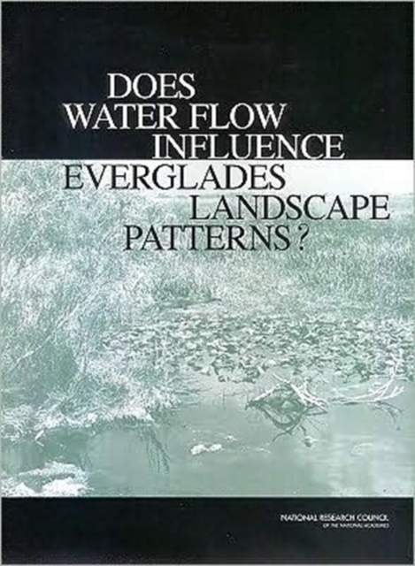 Does Water Flow Influence Everglades Landscape Patterns?, Paperback Book