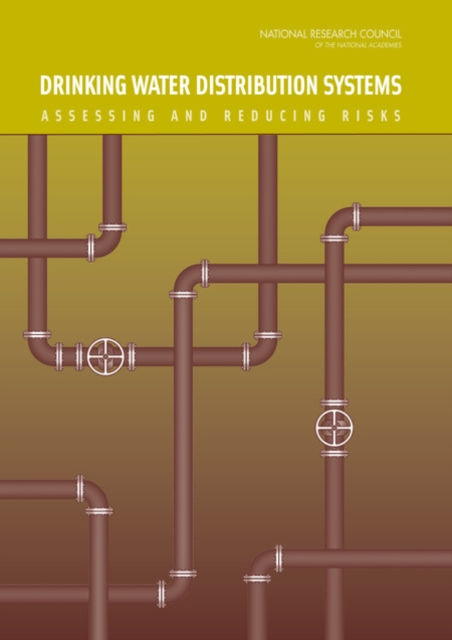 Drinking Water Distribution Systems : Assessing and Reducing Risks, Hardback Book