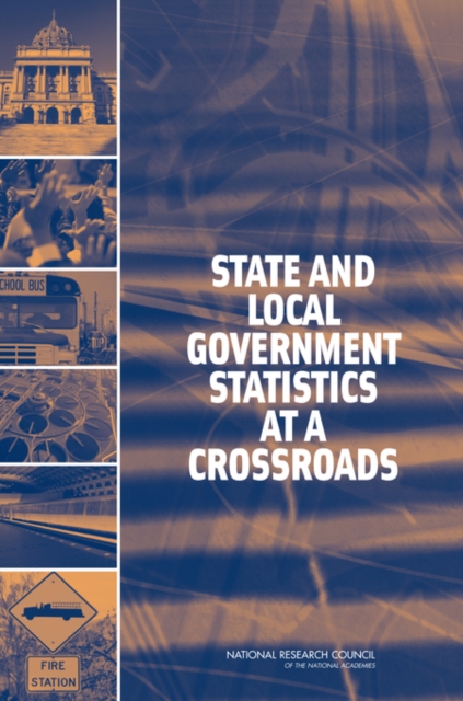 State and Local Government Statistics at a Crossroads, Paperback / softback Book