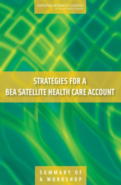 Strategies for a BEA Satellite Health Care Account : Summary of a Workshop, Paperback / softback Book
