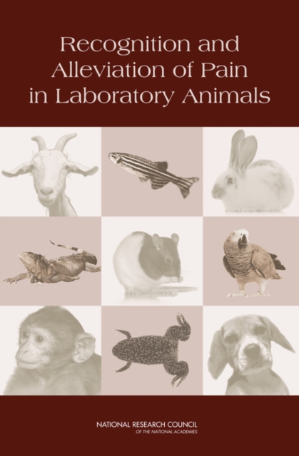 Recognition and Alleviation of Pain in Laboratory Animals, Paperback / softback Book