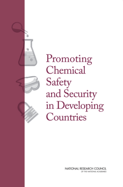 Promoting Chemical Laboratory Safety and Security in Developing Countries, EPUB eBook