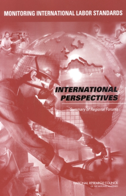 Monitoring International Labor Standards : International Perspectives: Summary of Regional Forums, EPUB eBook