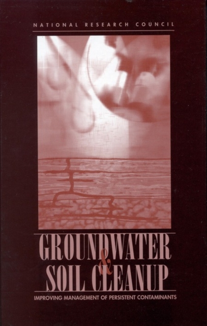 Groundwater and Soil Cleanup : Improving Management of Persistent Contaminants, EPUB eBook