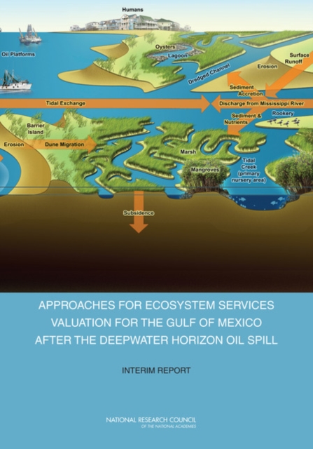 Approaches for Ecosystem Services Valuation for the Gulf of Mexico After the Deepwater Horizon Oil Spill : Interim Report, Paperback / softback Book