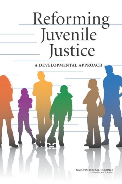 Reforming Juvenile Justice : A Developmental Approach, Paperback / softback Book