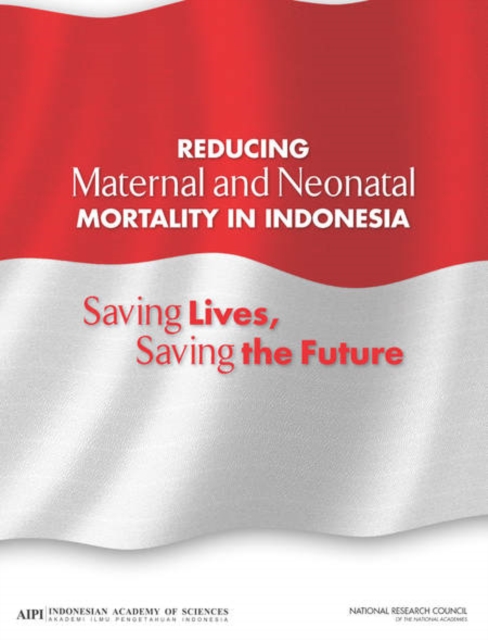 Reducing Maternal and Neonatal Mortality in Indonesia : Saving Lives, Saving the Future, Paperback / softback Book
