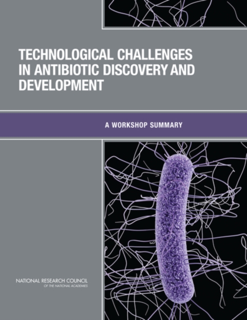 Technological Challenges in Antibiotic Discovery and Development : A Workshop Summary, PDF eBook