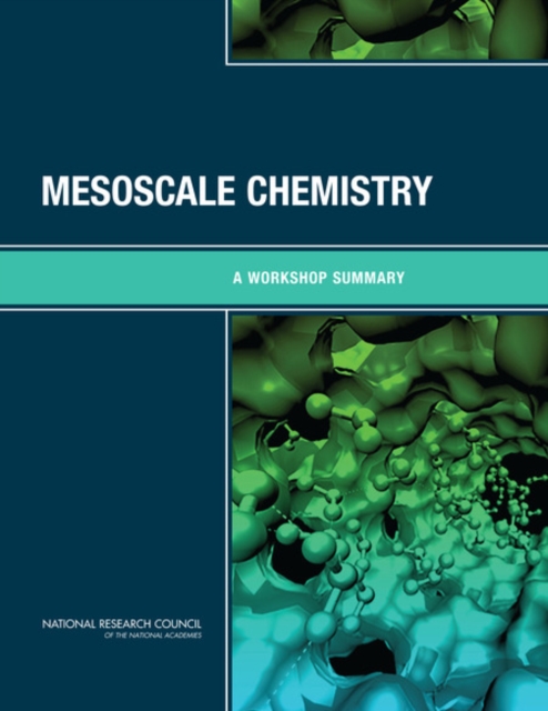 Mesoscale Chemistry : A Workshop Summary, EPUB eBook