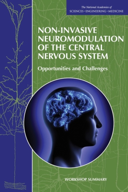 Non-Invasive Neuromodulation of the Central Nervous System : Opportunities and Challenges: Workshop Summary, PDF eBook