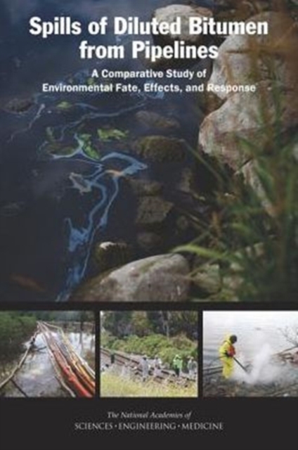 Spills of Diluted Bitumen from Pipelines : A Comparative Study of Environmental Fate, Effects, and Response, Paperback / softback Book