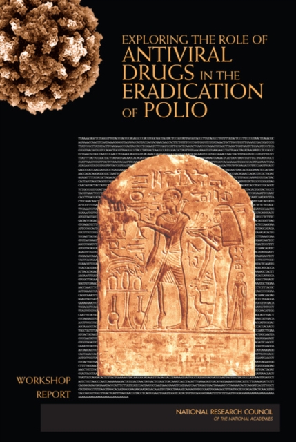 Exploring the Role of Antiviral Drugs in the Eradication of Polio : Workshop Report, PDF eBook
