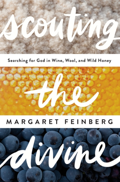 Scouting the Divine : Searching for God in Wine, Wool, and Wild Honey, Paperback / softback Book