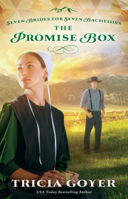 The Promise Box, Paperback / softback Book