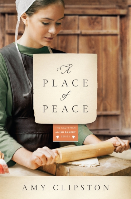 A Place of Peace : A Novel, Paperback / softback Book