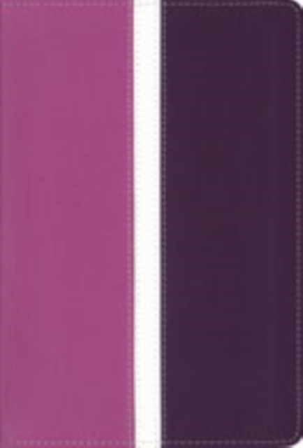 KJV, Thinline Bible, Compact, Imitation Leather, Pink/Purple, Red Letter Edition, Leather / fine binding Book