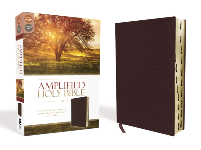 Amplified Holy Bible, Bonded Leather, Burgundy, Thumb Indexed : Captures the Full Meaning Behind the Original Greek and Hebrew, Leather / fine binding Book