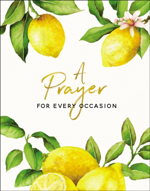A Prayer for Every Occasion, EPUB eBook