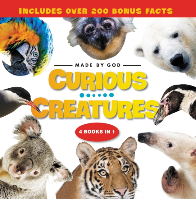 Curious Creatures : 4 Books in 1, Hardback Book