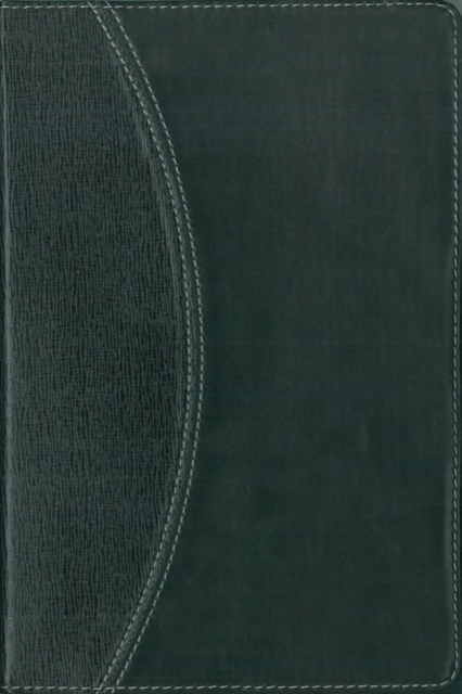 KJV, Reference Bible, Compact, Imitation Leather, Gray/Gray, Red Letter Edition, Leather / fine binding Book
