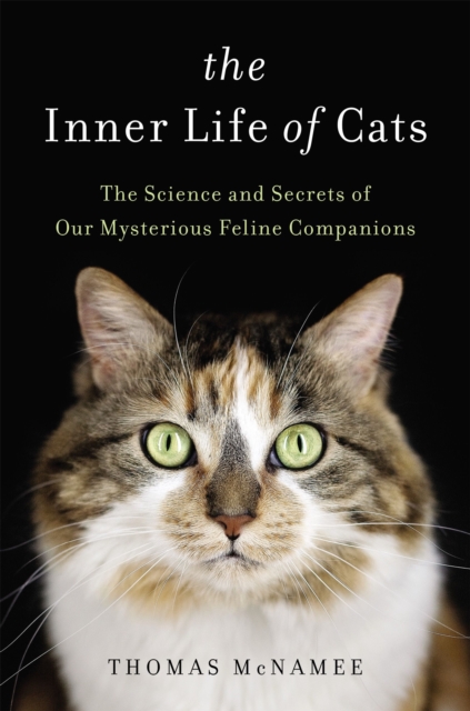The Inner Life of Cats : The Science and Secrets of Our Mysterious Feline Companions, Hardback Book