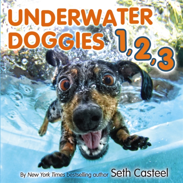 Underwater Doggies 1,2,3, Hardback Book