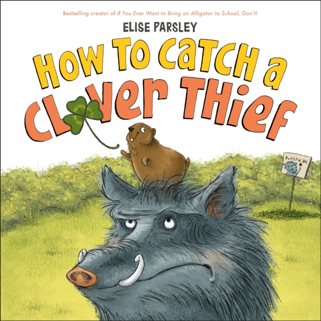 How to Catch a Clover Thief, Hardback Book