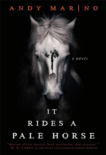 It Rides a Pale Horse, Paperback / softback Book