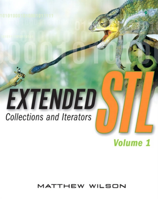 Extended STL, Volume 1 : Collections and Iterators, PDF eBook