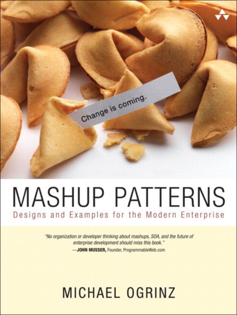 Mashup Patterns : Designs and Examples for the Modern Enterprise, EPUB eBook