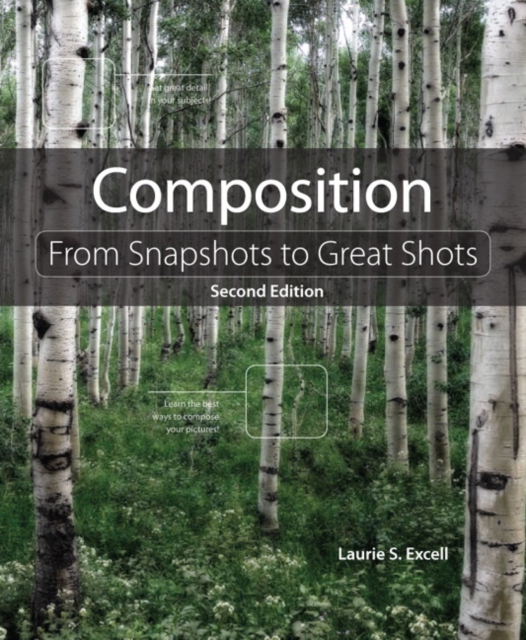 Composition : From Snapshots to Great Shots, Paperback Book