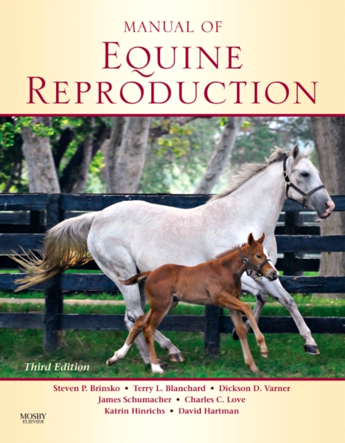 Manual of Equine Reproduction, Paperback / softback Book