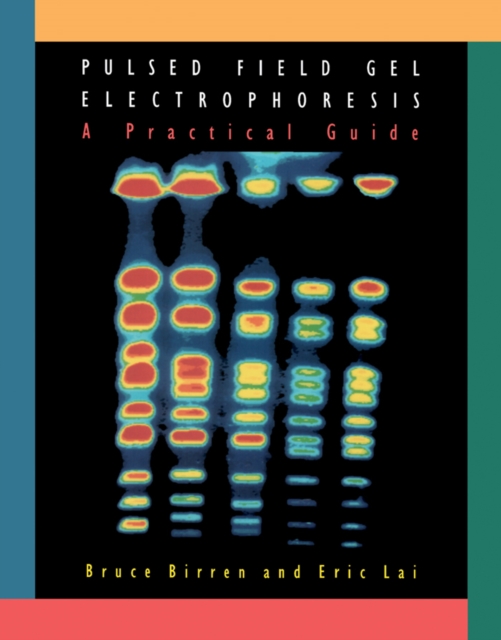 Pulsed Field Gel Electrophoresis : A Practical Guide, PDF eBook