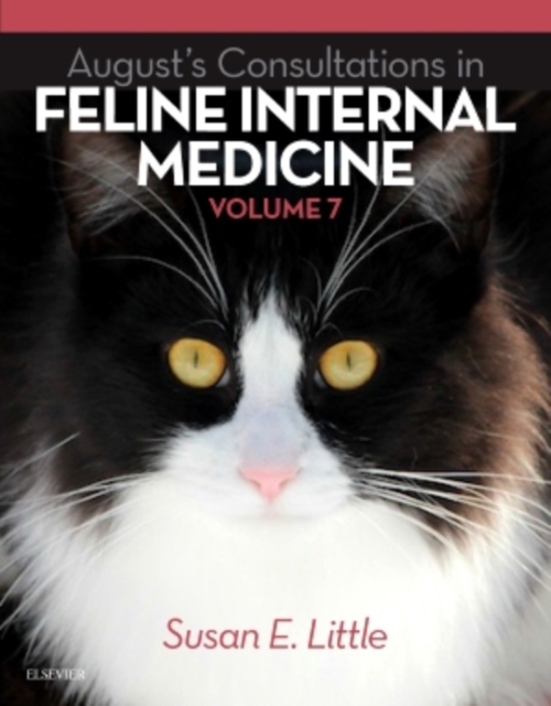 August's Consultations in Feline Internal Medicine, Volume 7, Hardback Book