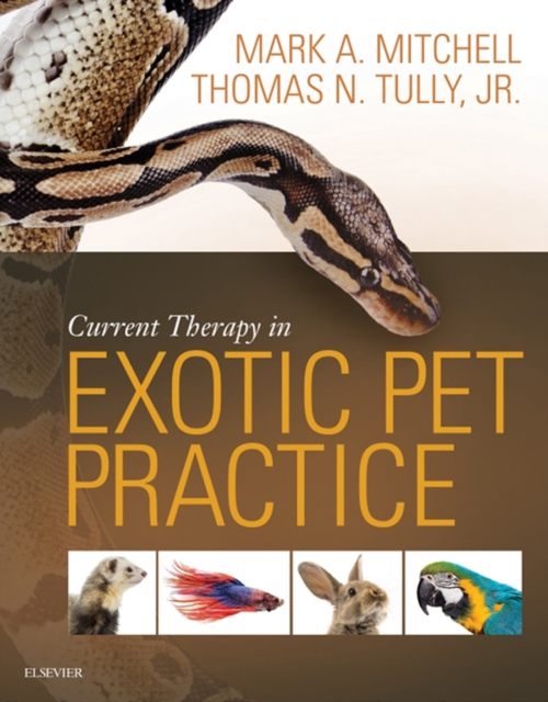 Current Therapy in Exotic Pet Practice, EPUB eBook