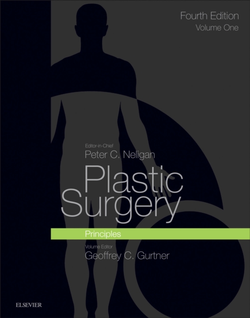 Plastic Surgery E-Book : Volume 1 Principles, EPUB eBook