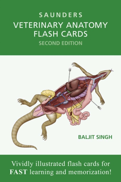 Veterinary Anatomy Flash Cards - : Veterinary Anatomy Flash Cards -, EPUB eBook