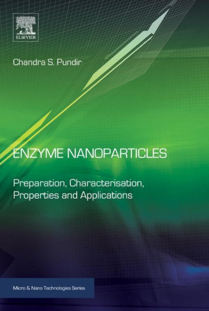 Enzyme Nanoparticles : Preparation, Characterisation, Properties and Applications, EPUB eBook