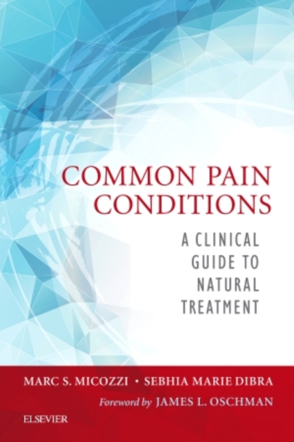 Common Pain Conditions : A Clinical Guide to Natural Treatment, Paperback / softback Book