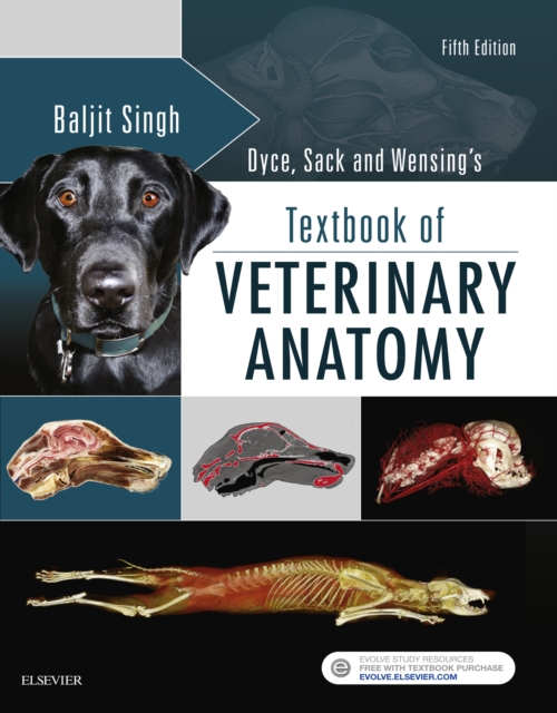 Dyce, Sack and Wensing's Textbook of Veterinary Anatomy - E-Book : Dyce, Sack and Wensing's Textbook of Veterinary Anatomy - E-Book, EPUB eBook