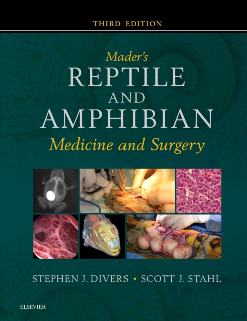 Mader's Reptile and Amphibian Medicine and Surgery- E-Book : Mader's Reptile and Amphibian Medicine and Surgery- E-Book, EPUB eBook