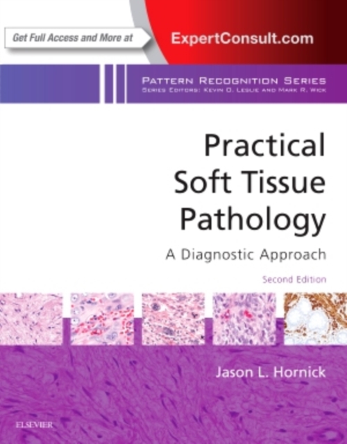 Practical Soft Tissue Pathology: A Diagnostic Approach : A Volume in the Pattern Recognition Series, Hardback Book