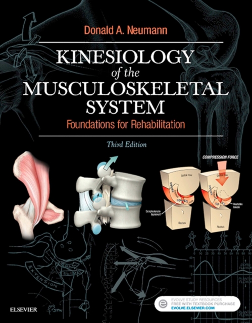 Kinesiology of the Musculoskeletal System - E-Book : Kinesiology of the Musculoskeletal System - E-Book, EPUB eBook